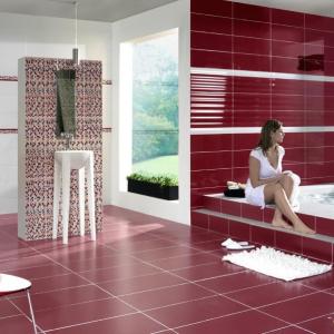 Mosaic tiles Ceramicas Aparici Arinsal Rojo