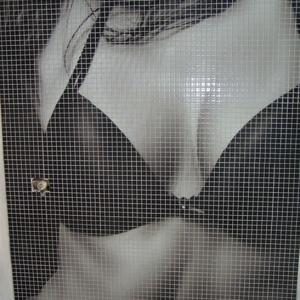 Glass mosaic hd bathroom03_2