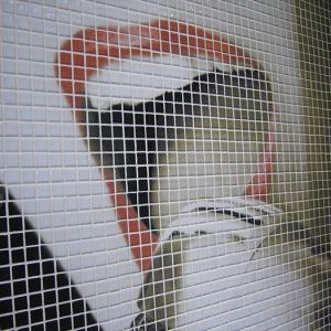 Glass mosaic hd decoration04_3