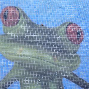 Glass mosaic hd pools02_6