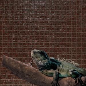 Mosavit mosaic Pelle Grana