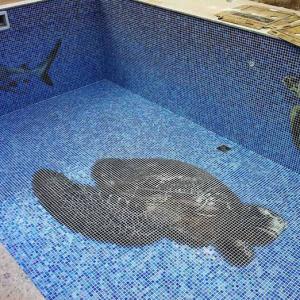 Glass mosaic hd pools06_1