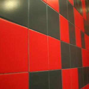 Ceramic tiles 20x20 Red