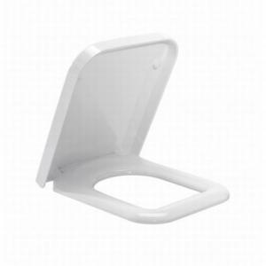 Advance Toilet seat